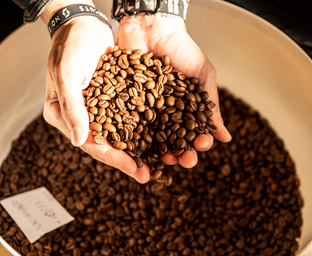 cafe-especialidad-partner-2